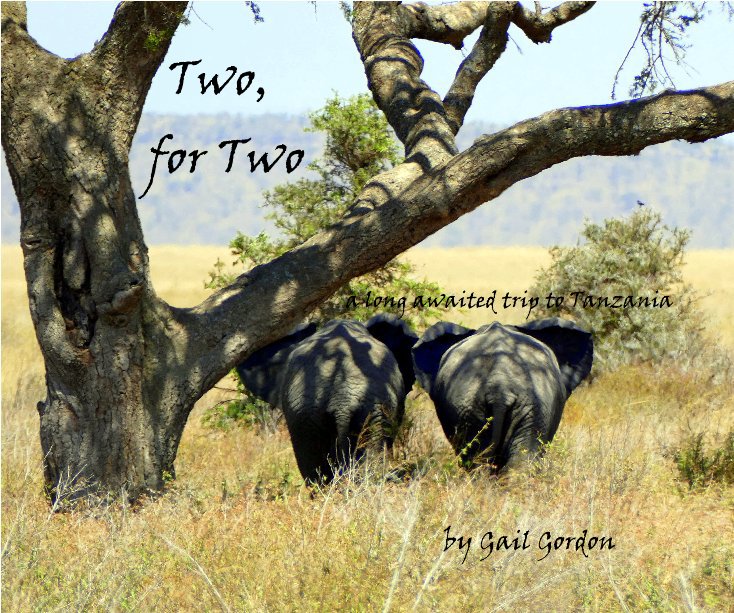 View Two, for Two by Gail Gordon
