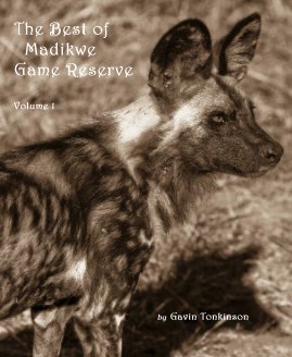 The Best of Madikwe Game Reserve Volume 1 book cover