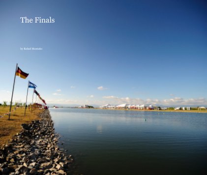 The Finals book cover
