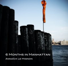 6 Months in Manhattan book cover