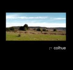 :. colhue book cover