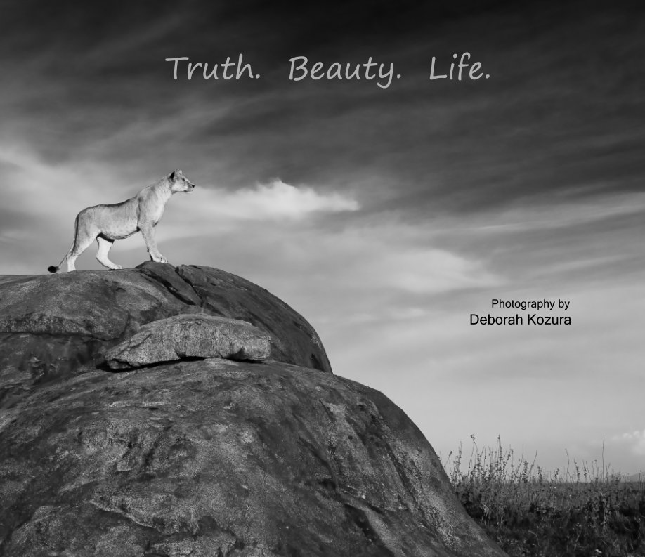 View Truth. Beauty. Life by Deborah Kozura