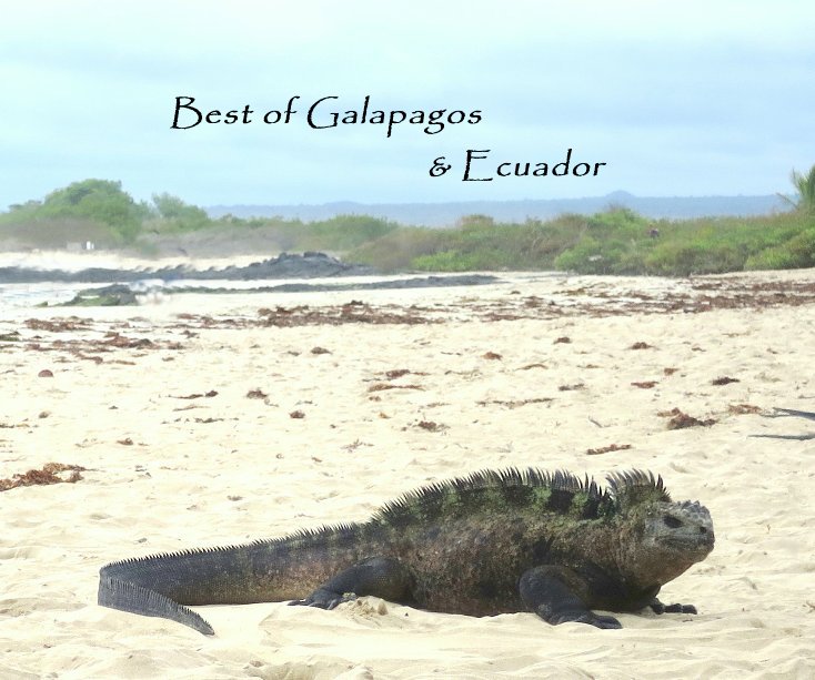 View Best of Galapagos and Ecuador by Angela Mitchell