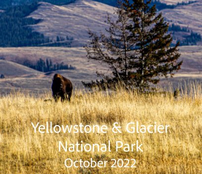 Yellow Stone And Glacier National Park book cover