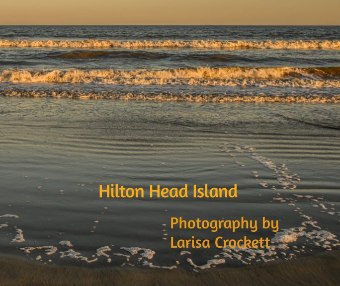 View Hilton Head Island by Larisa Crockett