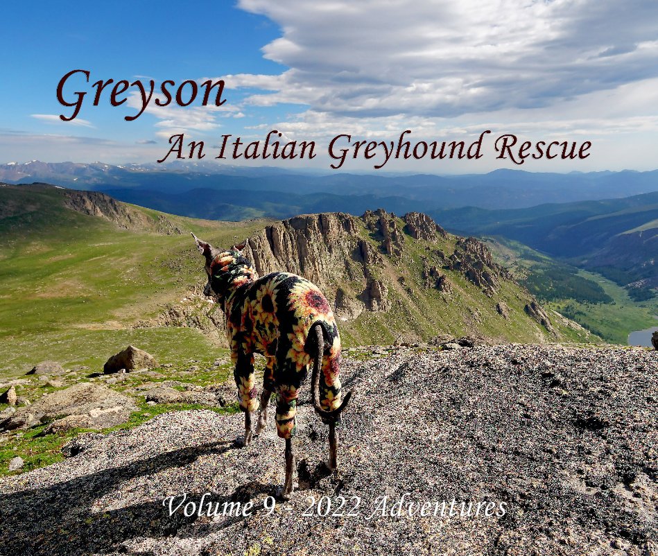 View Greyson An Italian Greyhound Rescue by William Pelander