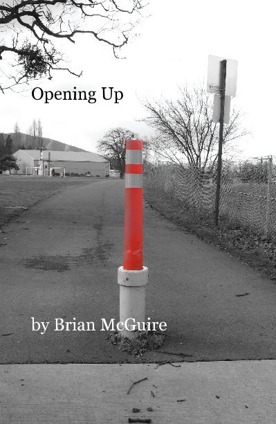 View Opening Up by Brian McGuire