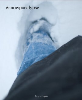 #snowpocalypse book cover