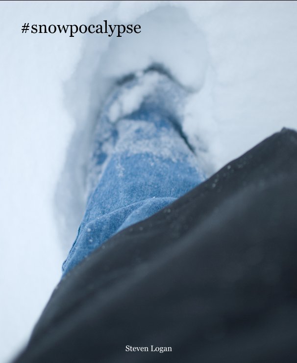 View #snowpocalypse by Steven Logan