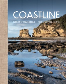 Coastline book cover