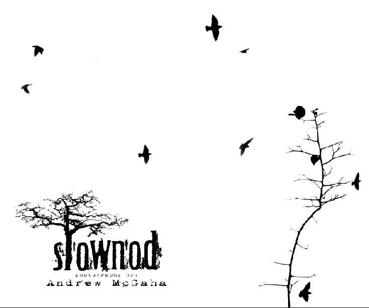 View Slownod by Andrew McGaha