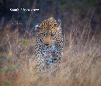 South Africa 2022 book cover