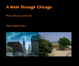 A Walk Through Chicago book cover
