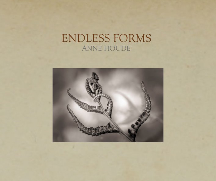 View Endless Forms by Anne Houde
