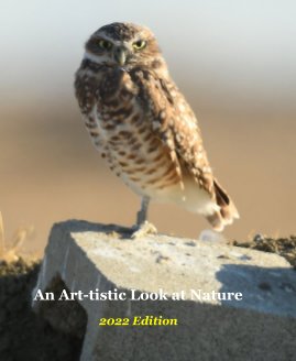An Art-tistic Look at Nature book cover