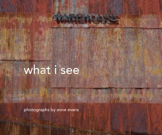 what i see book cover