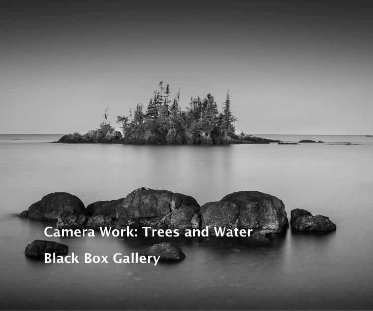 Visualizza Camera Work: Trees and Water di Black Box Gallery