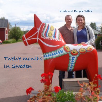 Twelve months in Sweden book cover