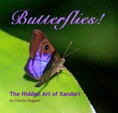 Butterflies! book cover