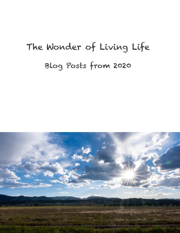 View The Wonder of Living Life by Monte Stevens