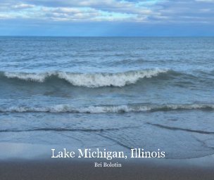 Lake Michigan, Illinois book cover