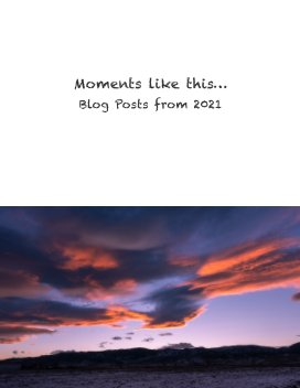 Moments like this: book cover