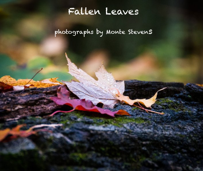 Visualizza Fallen Leaves di Monte Stevens