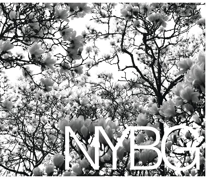 View NYBG : Seasons & Memories by Andalib Saadullah