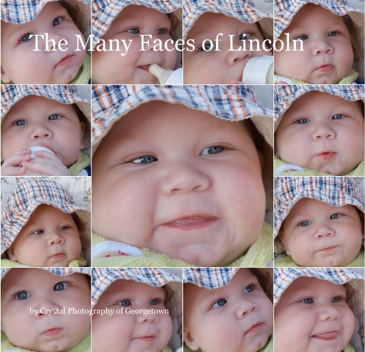 Visualizza The Many Faces of Lincoln di Crystal Photography of Georgetown