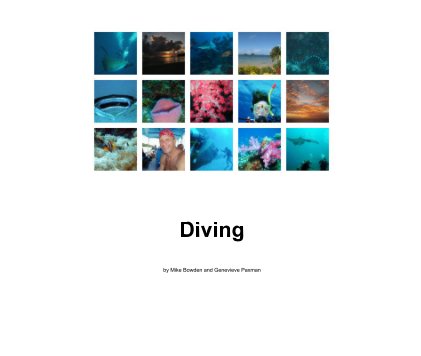Diving book cover