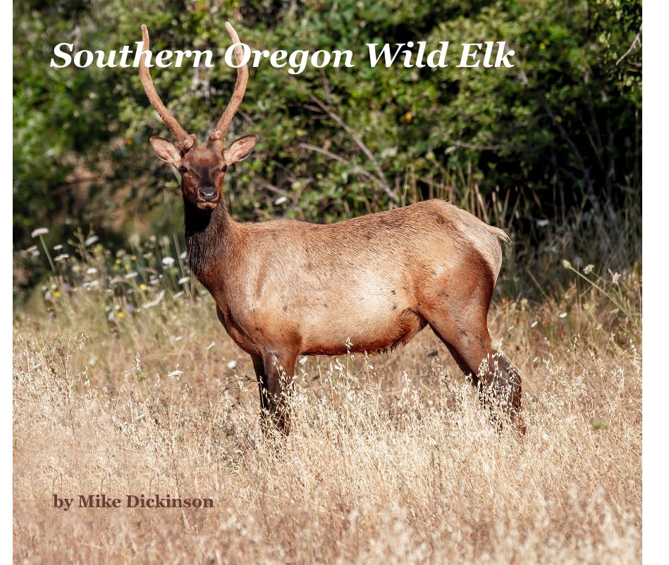 View Southern Oregon Wild Elk by Mike Dickinson