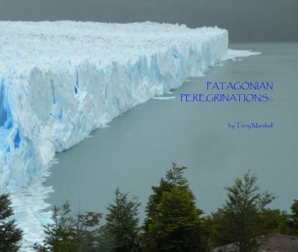 PATAGONIAN PEREGRINATIONS... by Terry Marshall book cover