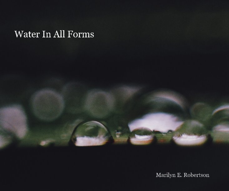 Visualizza Water In All Forms di Marilyn E. Robertson