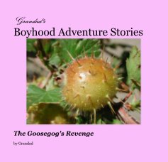 Grandad's Boyhood Adventure Stories Book One book cover