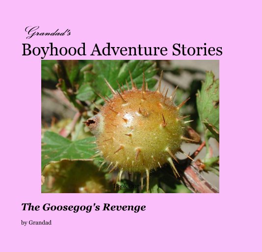 View Grandad's Boyhood Adventure Stories Book One by Grandad