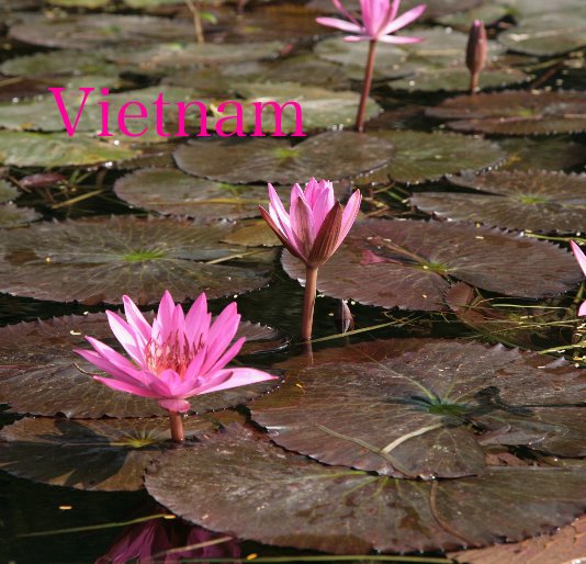 View Vietnam by carolcarter