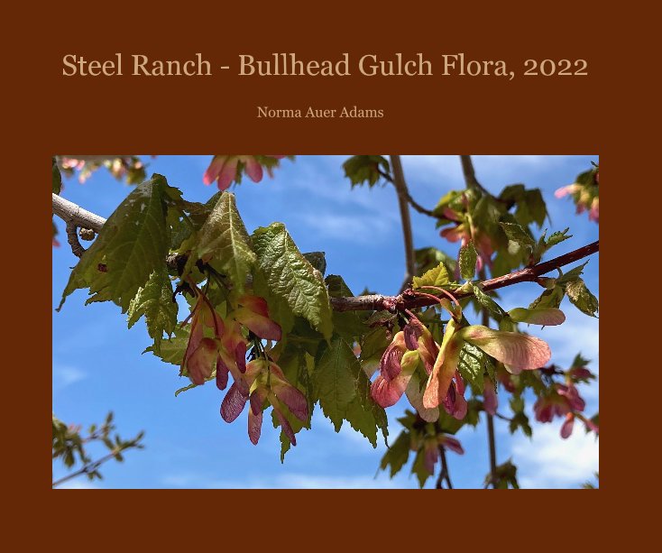 View Steel Ranch - Bullhead Gulch Flora, 2022 by Norma Auer Adams