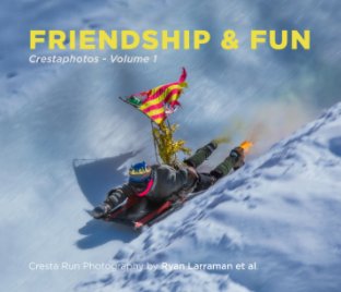 Friendship and Fun book cover
