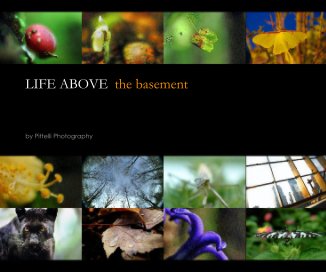 LIFE ABOVE  the basement book cover