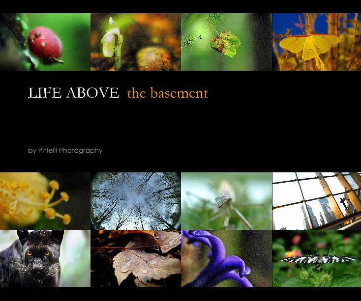 View LIFE ABOVE  the basement by Pittelli Photography