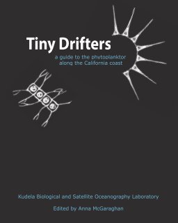 Tiny Drifters book cover