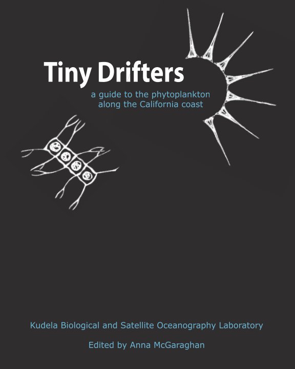 View Tiny Drifters by editor Anna McGaraghan