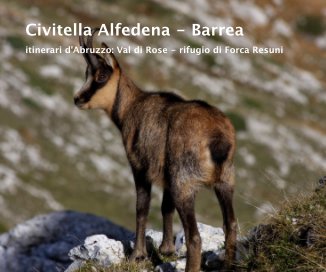 Civitella Alfedena - Barrea book cover