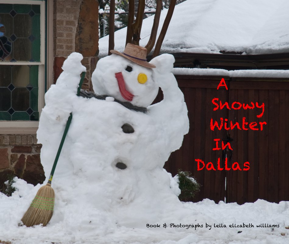 Bekijk A Snowy Winter In Dallas op Book & Photographs by leila elizabeth williams