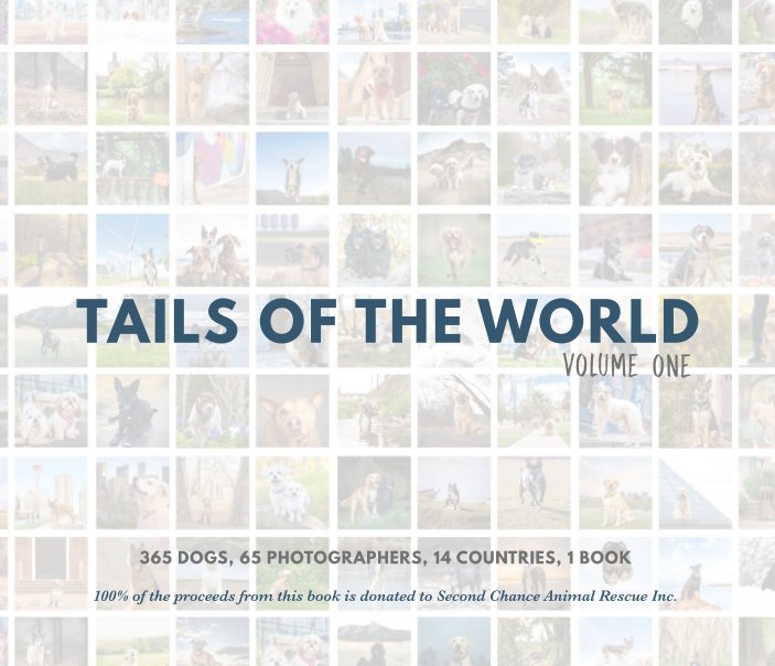 Bekijk Tails of the World: Volume One (Hardcover) op Caitlin J. McColl