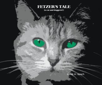 FETZER'S TALE book cover