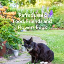 Rafi's Sussex Book book cover
