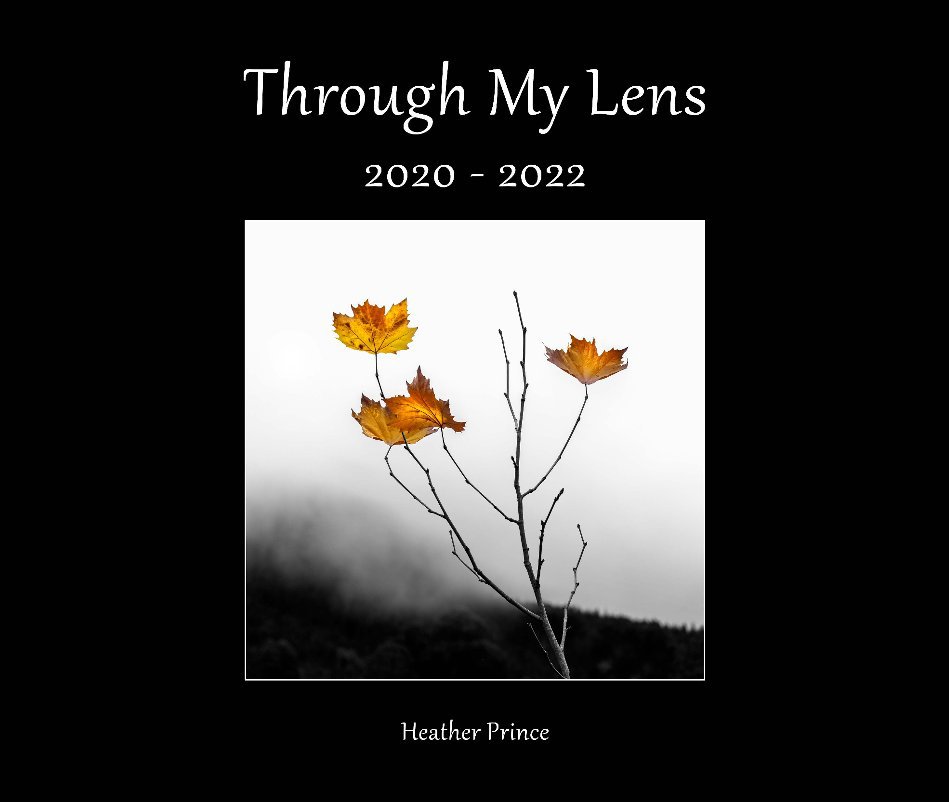 View Through My Lens 2020 - 2022 by Heather Prince