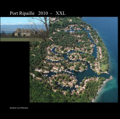Port Ripaille : 2010 book cover
