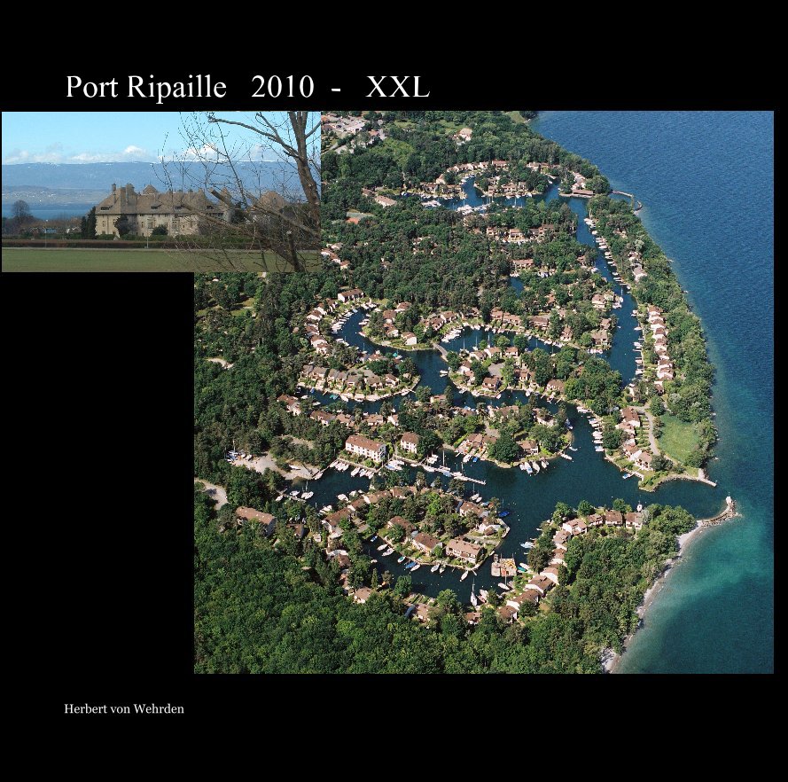 View Port Ripaille : 2010 by Herbert von Wehrden